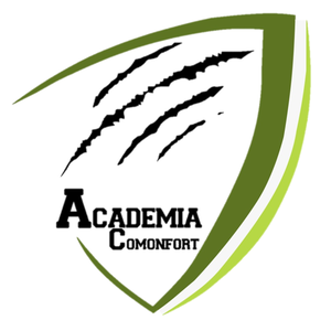 Academia Comonfort FC